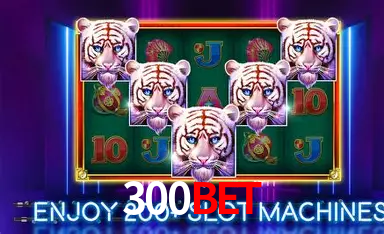 300bet